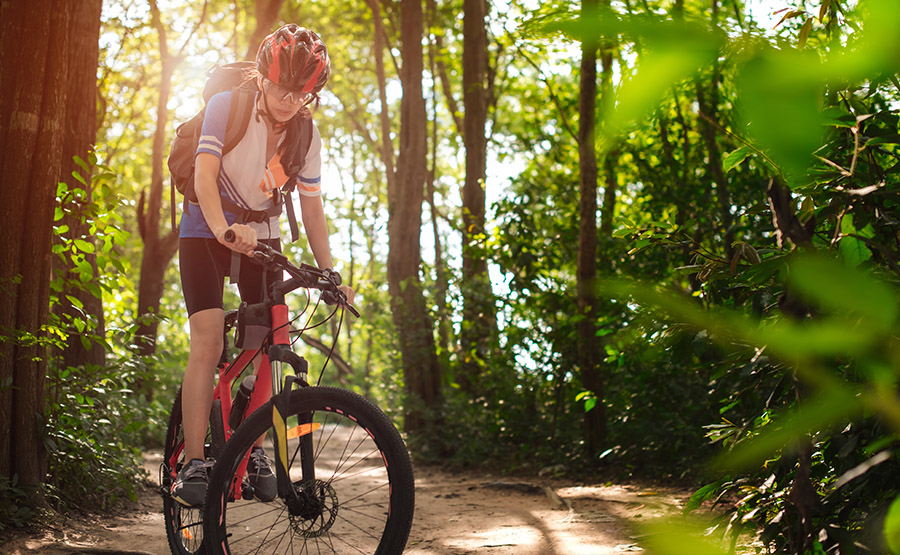 Ποδηλασία στον Παρνασσό