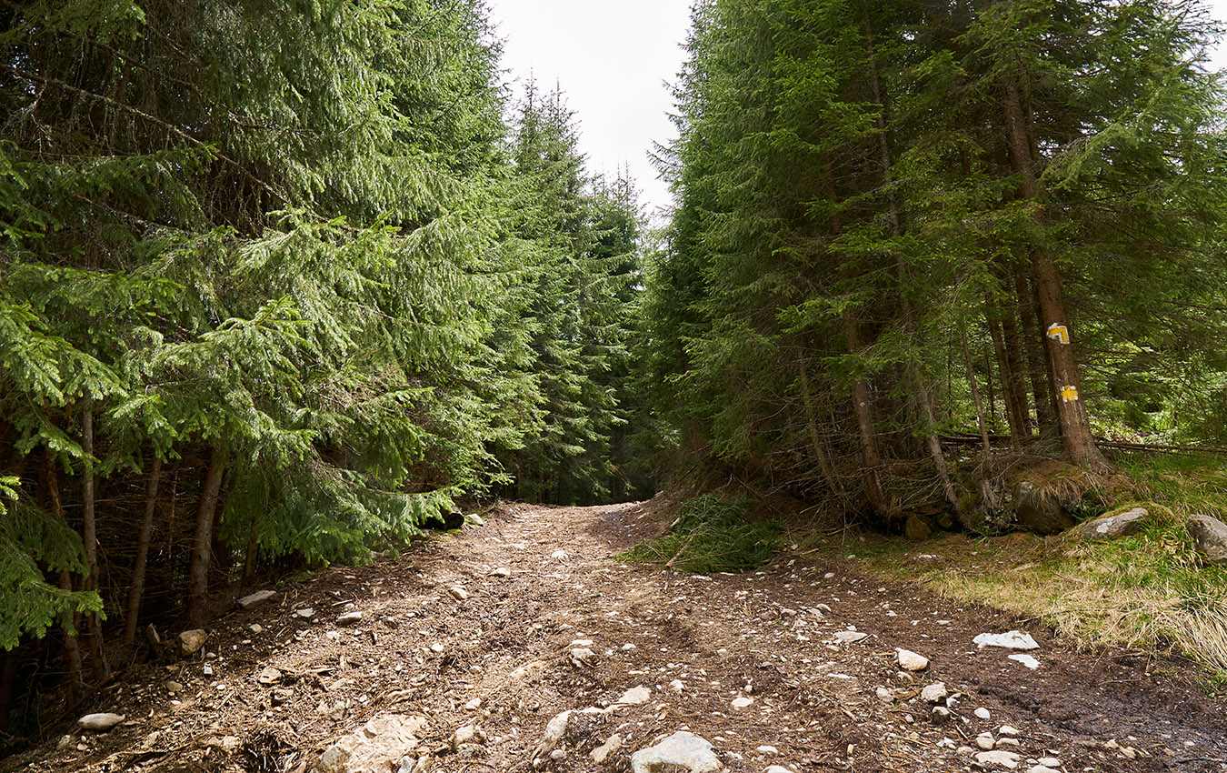 Off-Road 4x4 Σαφάρι