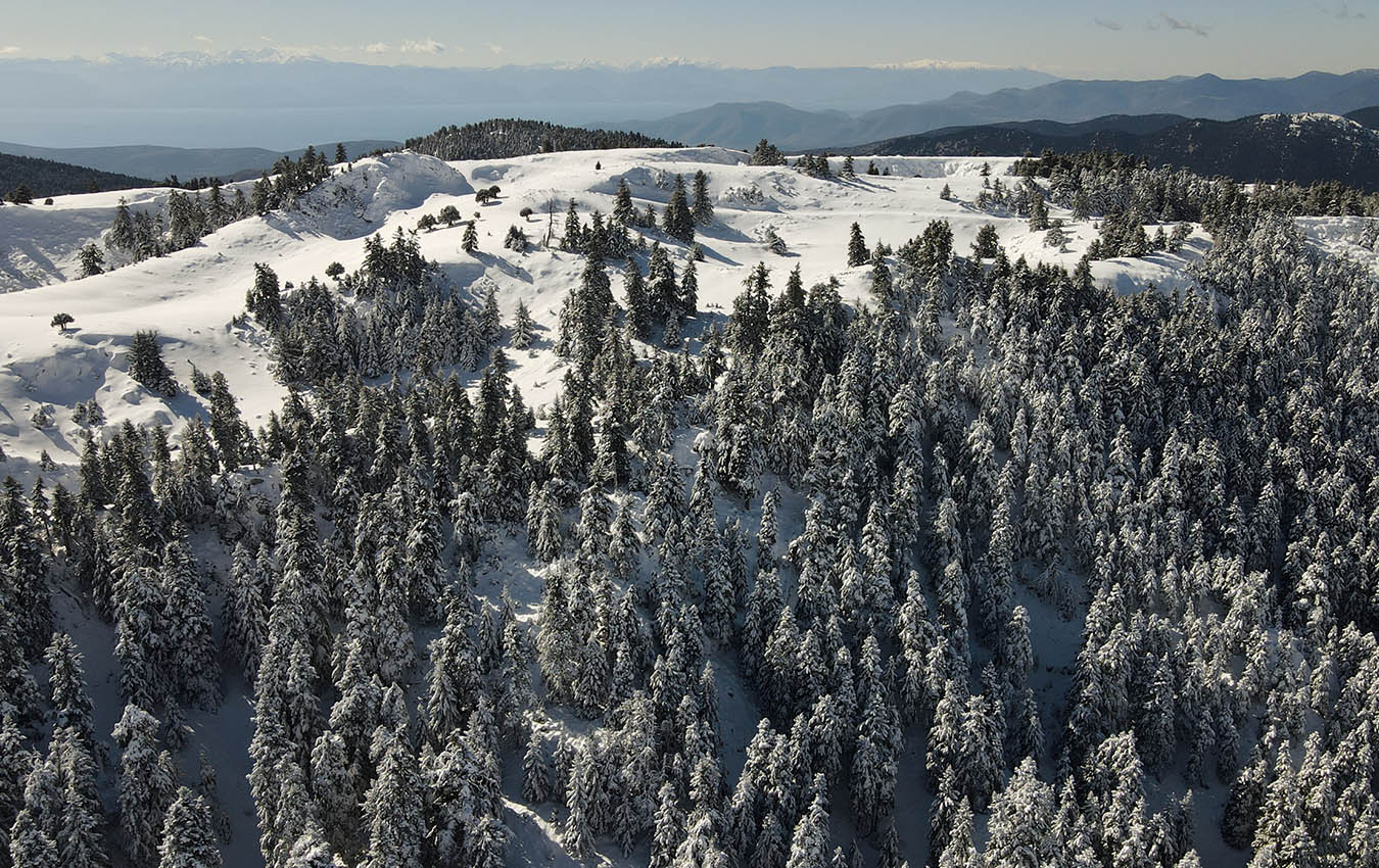 Σκι στον Παρνασσό