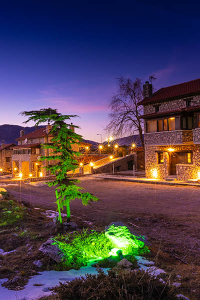 Διακοπές στην Αράχωβα